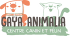 Gaya Animalia